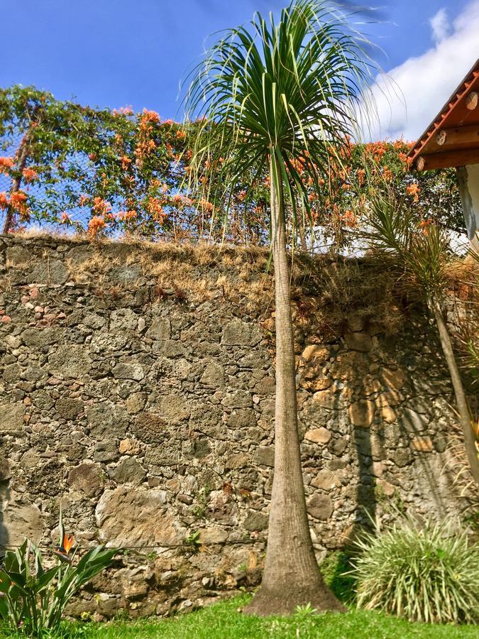 Posada Nican Mo Calli เตโปซตลัน ภายนอก รูปภาพ